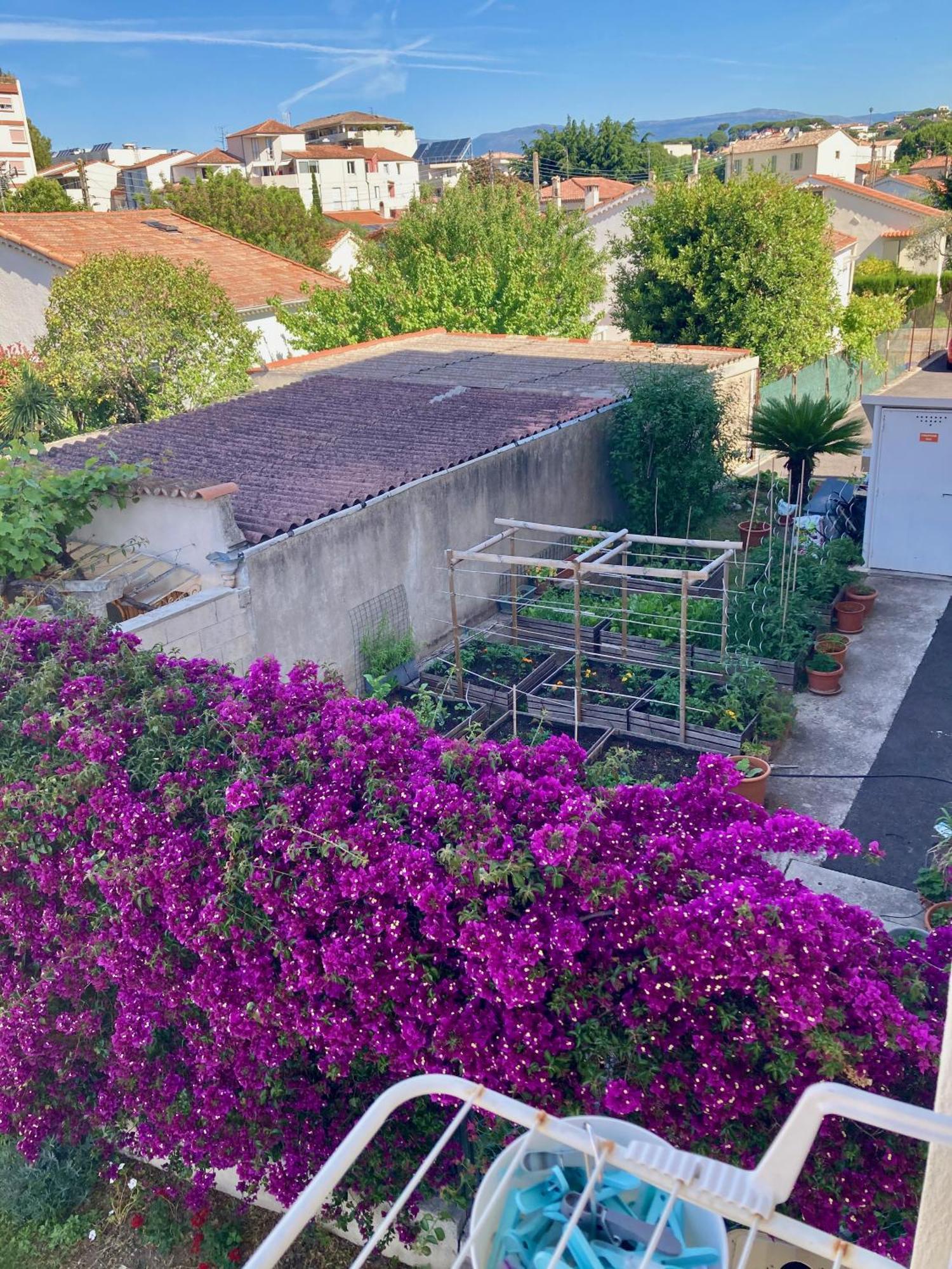 Cannes City B&B 部屋 写真